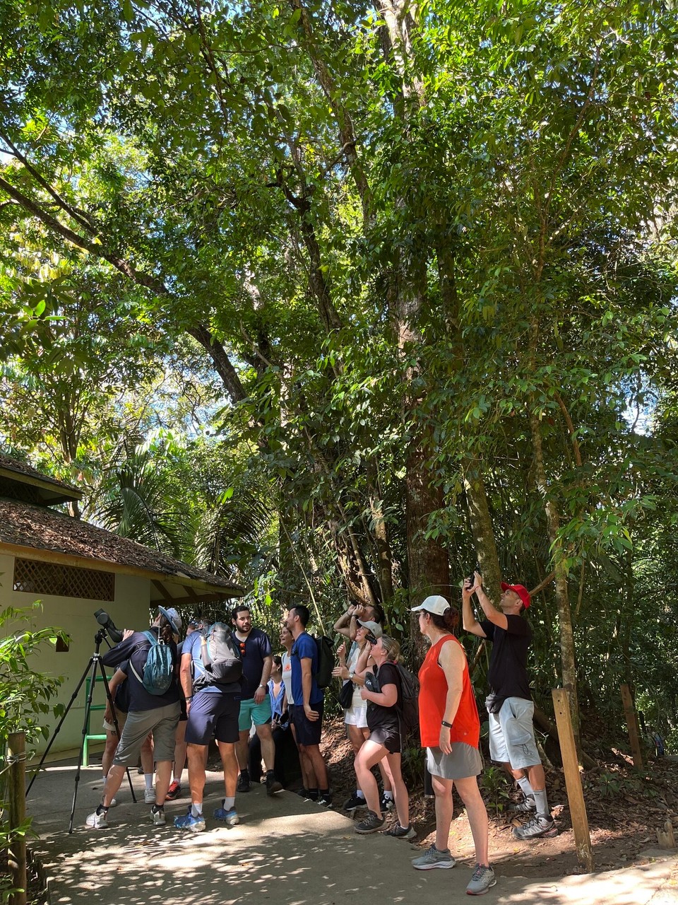 Costa Rica - Quepos - 