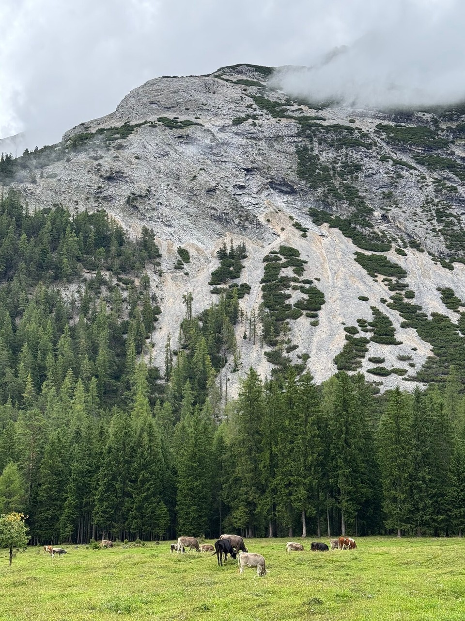 Österreich - Innsbruck - 