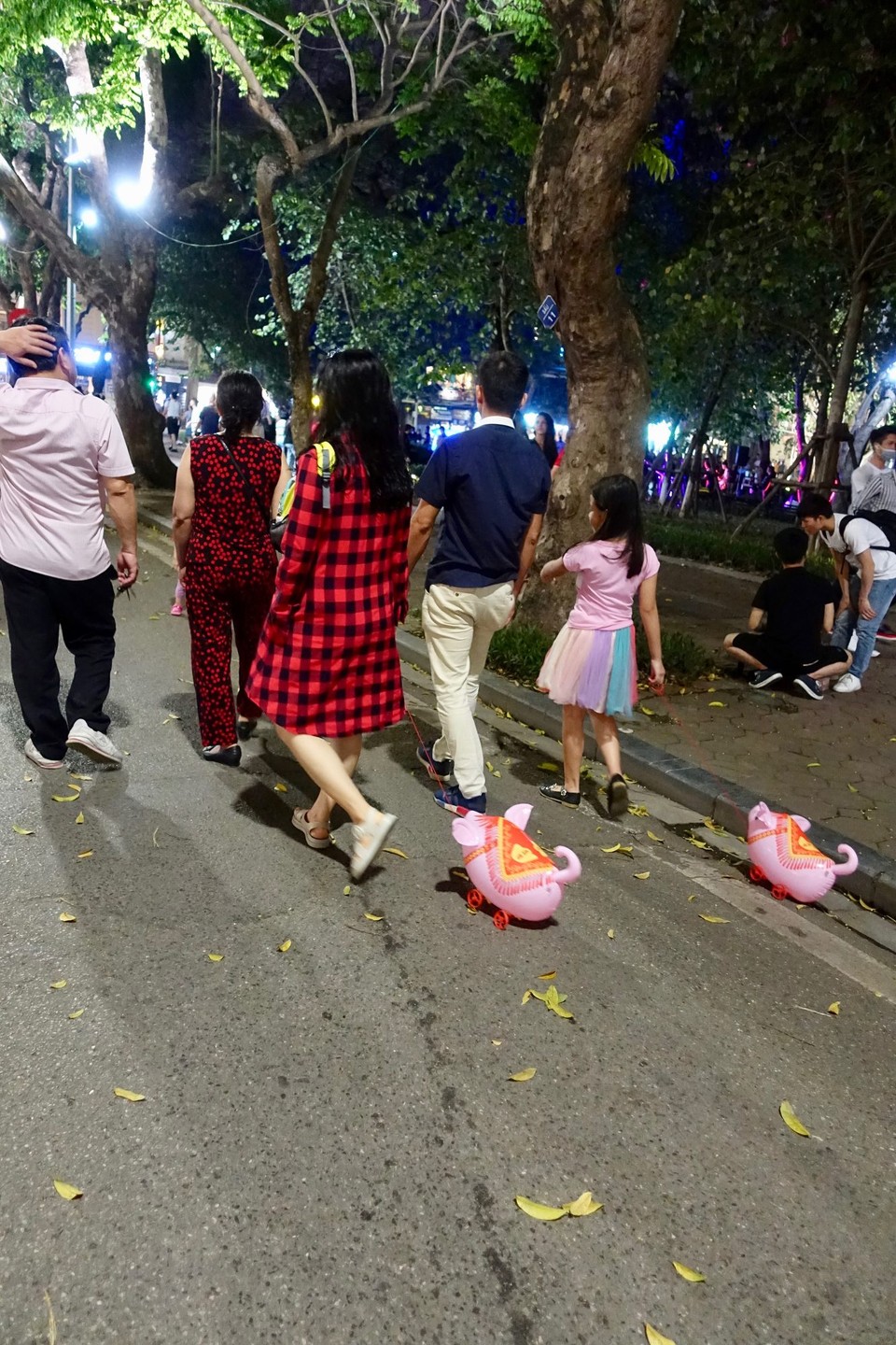 Vietnam - Hanoi - 