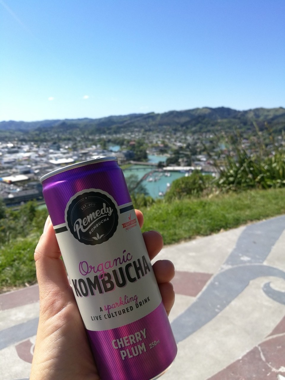 Neuseeland - Gisborne - Kaiti Hill Lookout