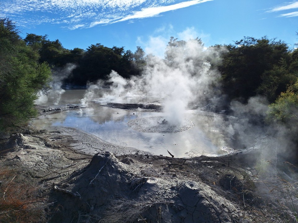 Neuseeland - Turangi - Mud Pool