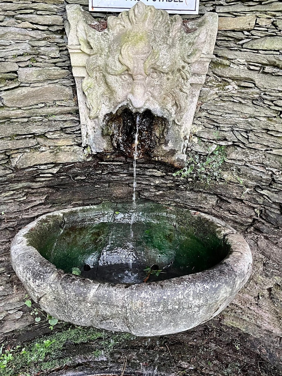 Italien - Verbania - Botanischer Garten Villa Teranto