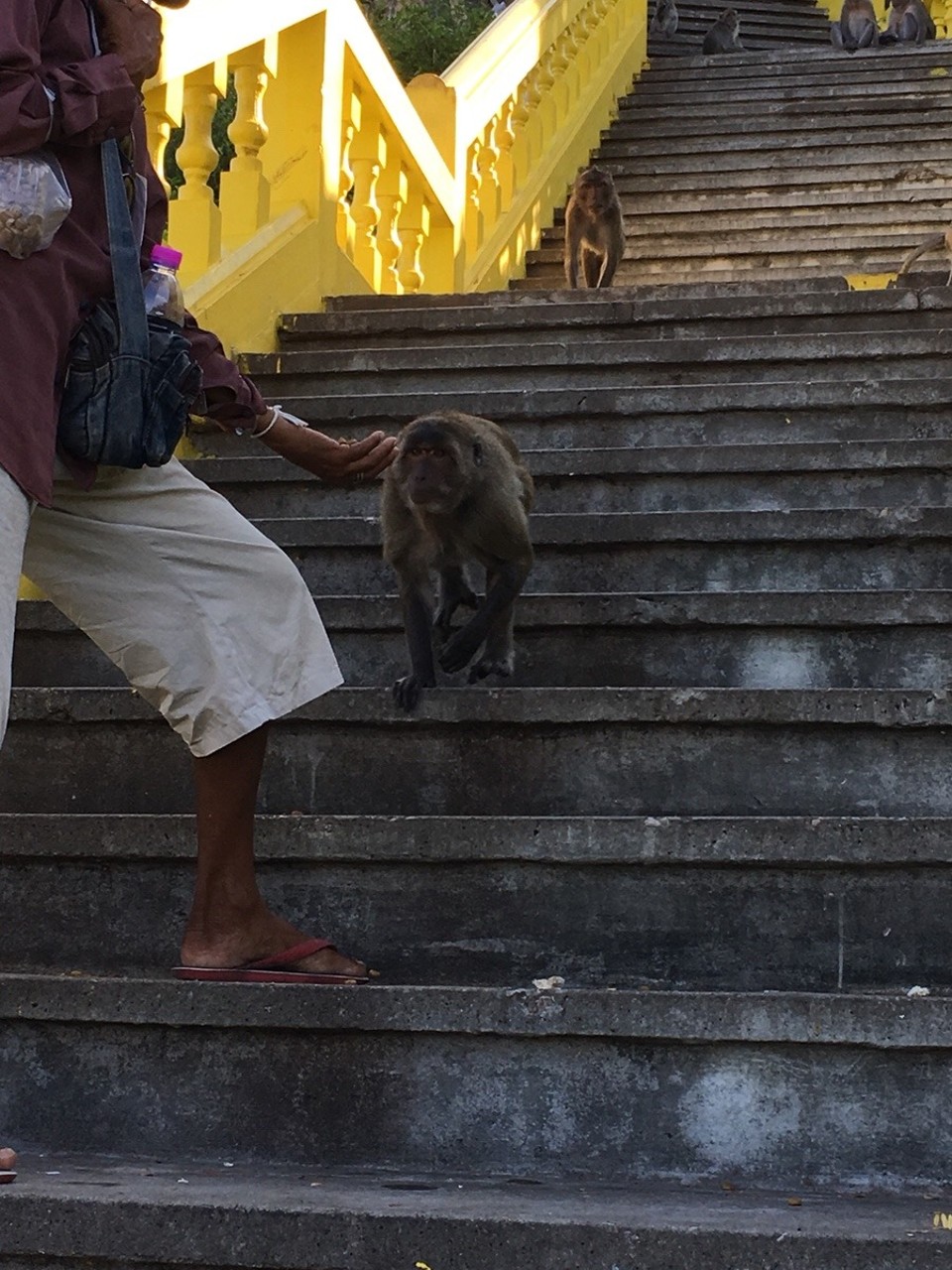 Thailand - Amphoe Sam Roi Yot - 