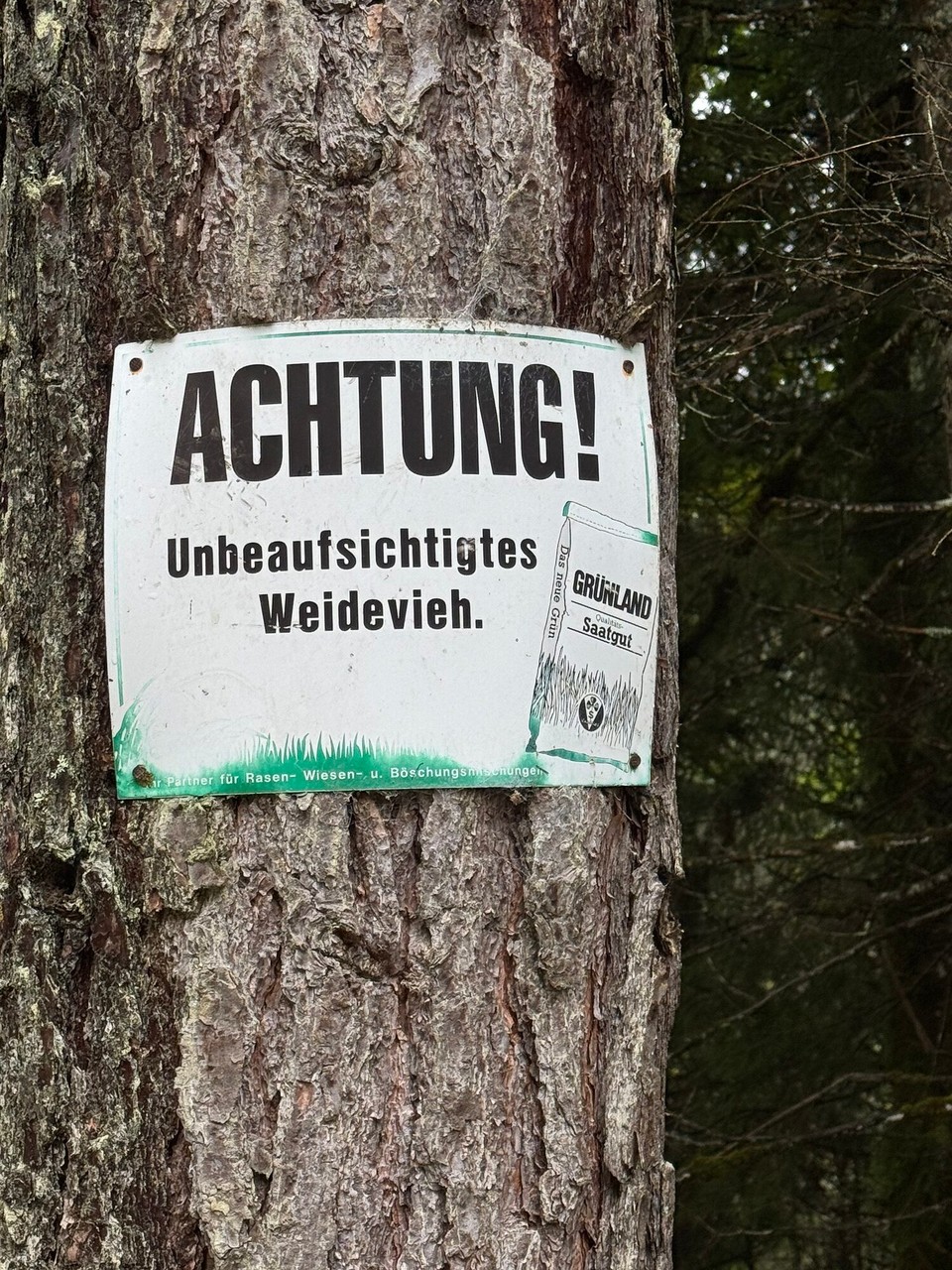 Österreich - Scharnitz - Mmmhhhhh….