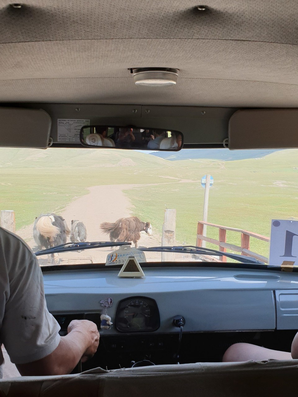 Mongolia - Khuvsgul Lake - Muughie chasing yaks off the road - standard