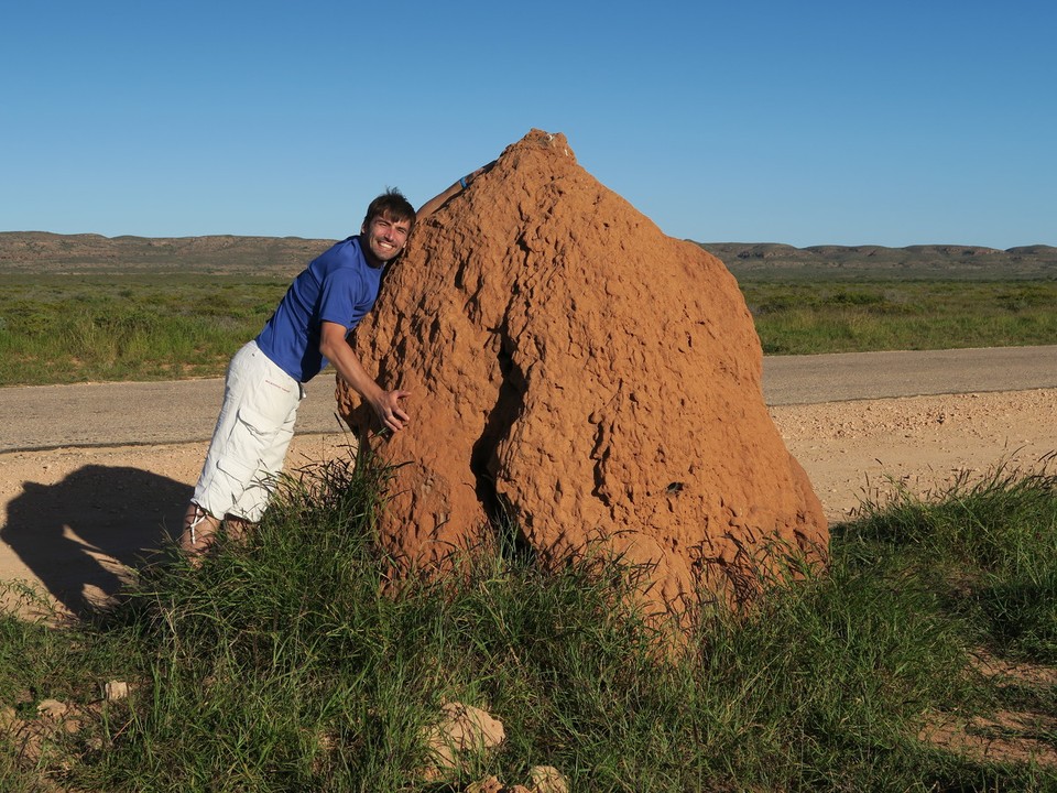 Australia - Learmonth - Termitière