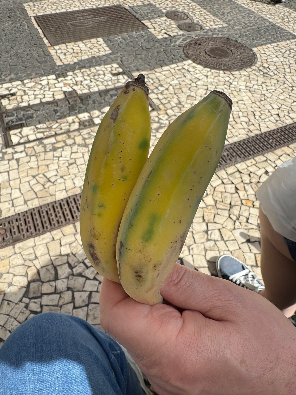 Portugal - Funchal - In der Markthalle gekauft 