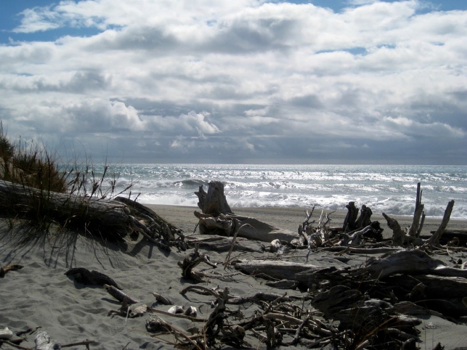 Neuseeland - Franz Josef Glacier - Shipwreck Beach