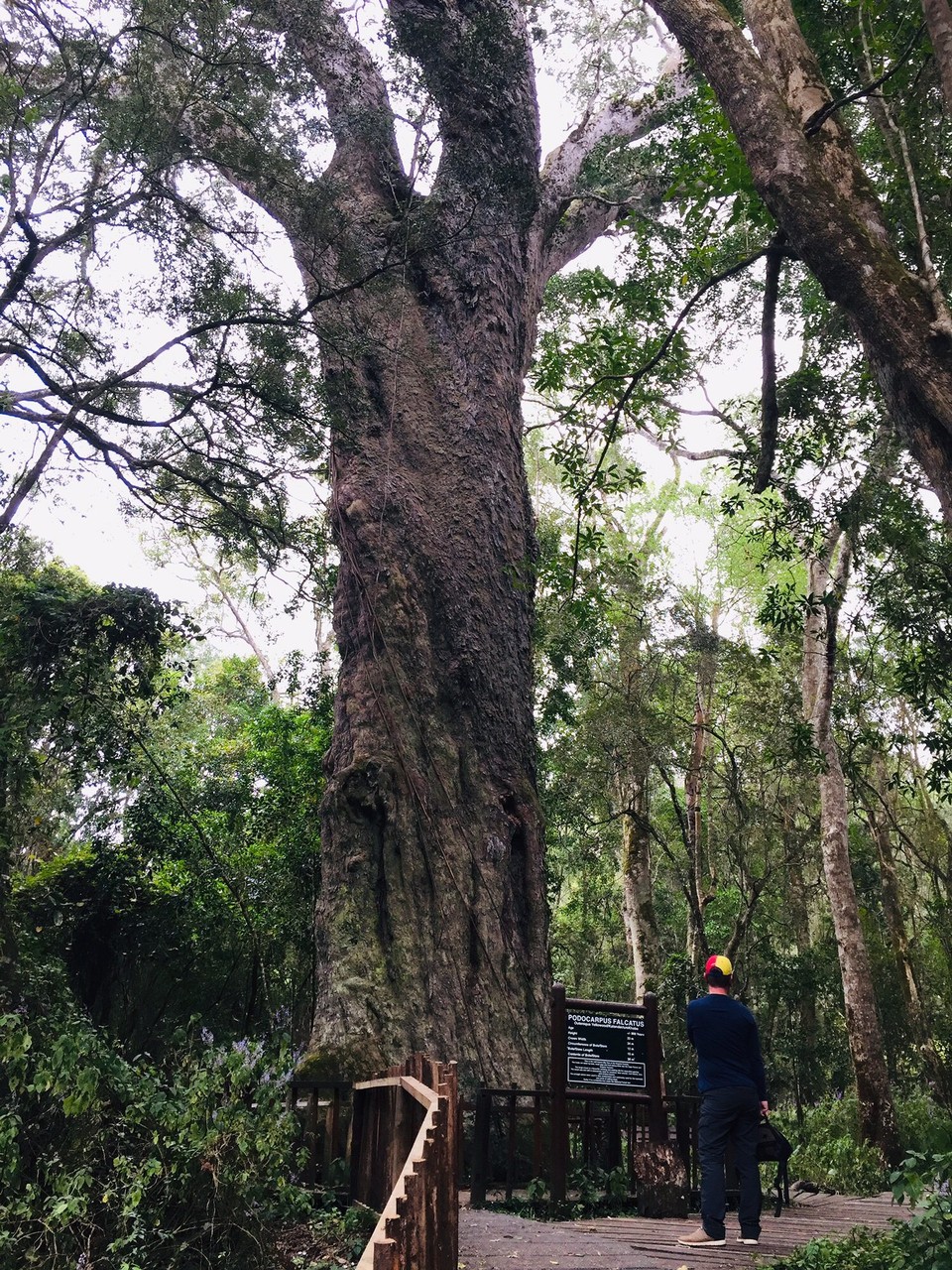 Südafrika - Knysna - 