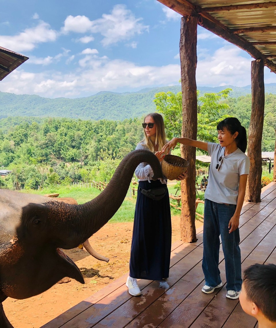 Thailand - Chiang Mai - 