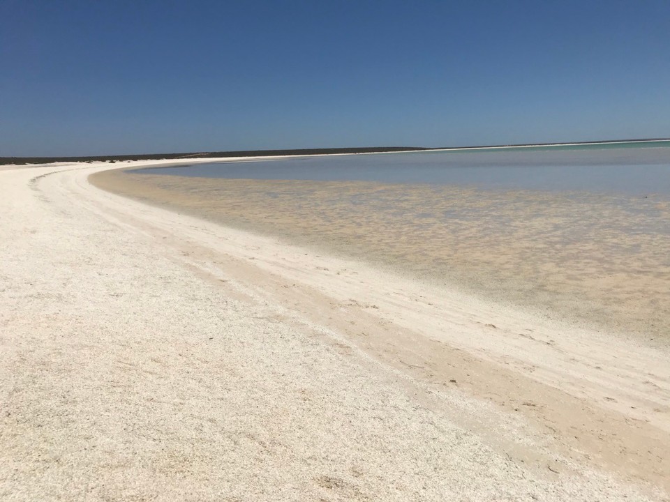 Australien - Denham - Shell Beach