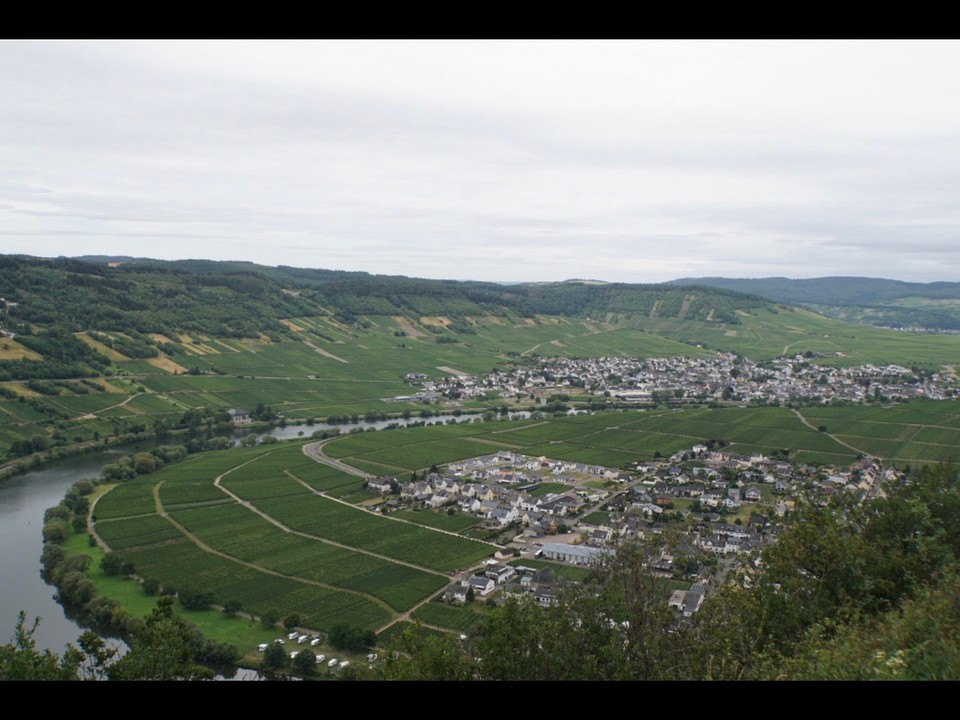 Deutschland - Piesport - Moselschleife bei Piesport