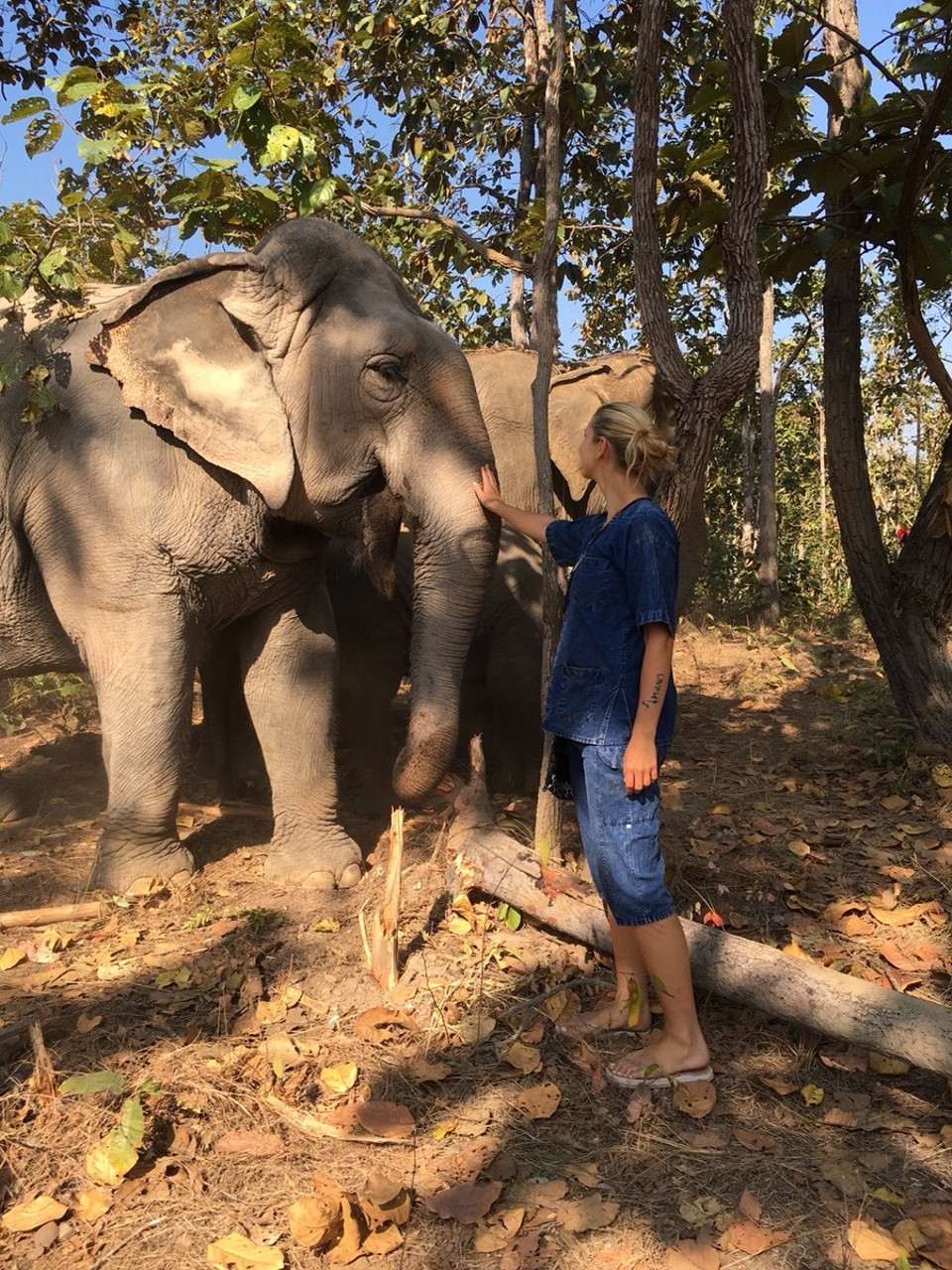 Thailand - Chiang Mai - 