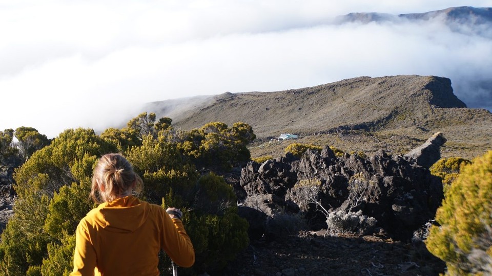 Réunion - Saint-Pierre - 