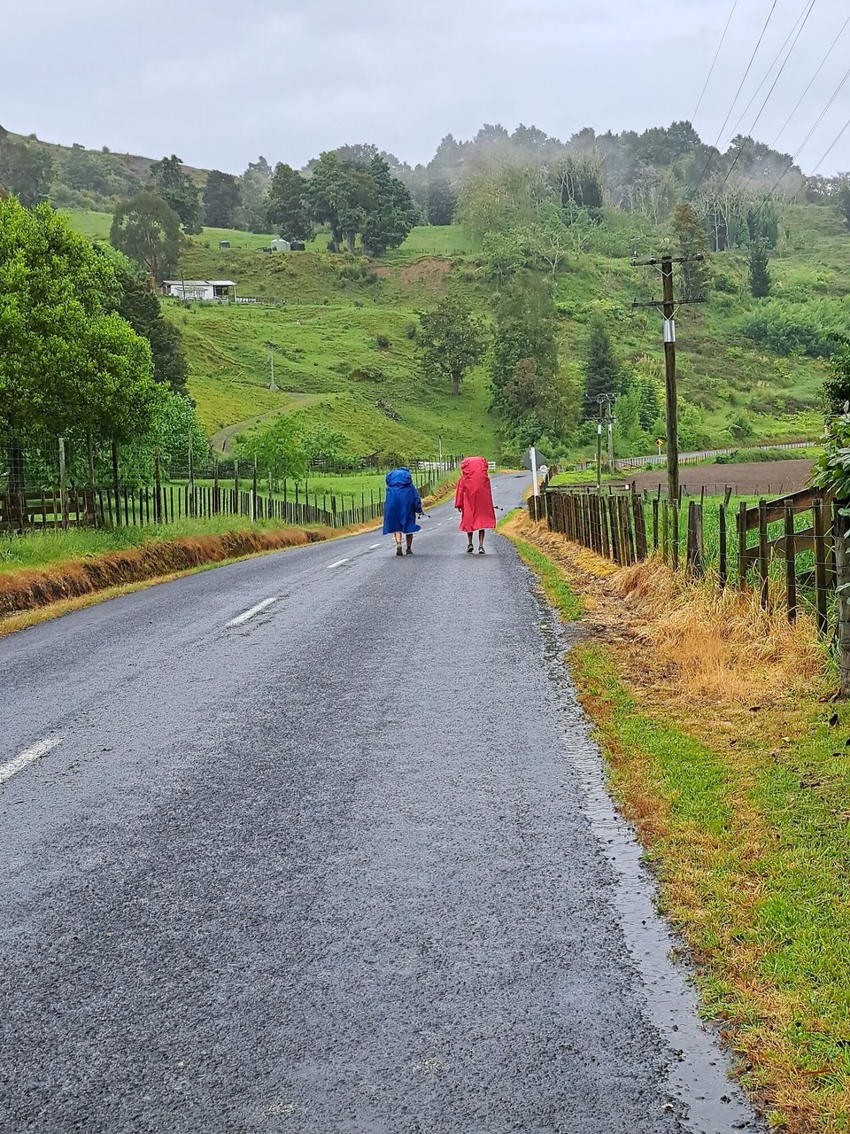 Neuseeland - Owhango - Silvia und Andreas sind auch unterwegs 