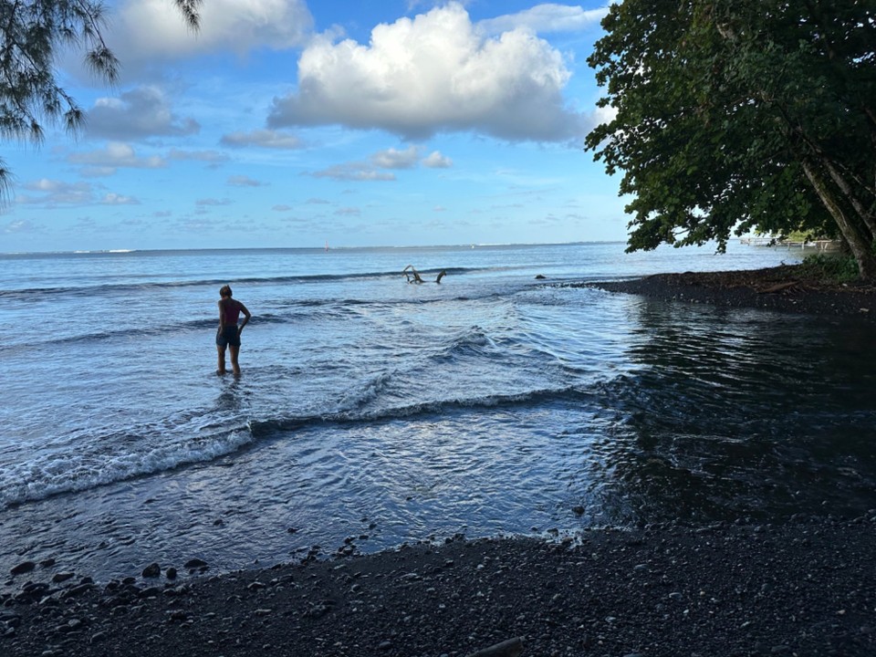 Französisch-Polynesien - Papeete - hier kam ein Fluss rein und das Wasser war klar und frisch