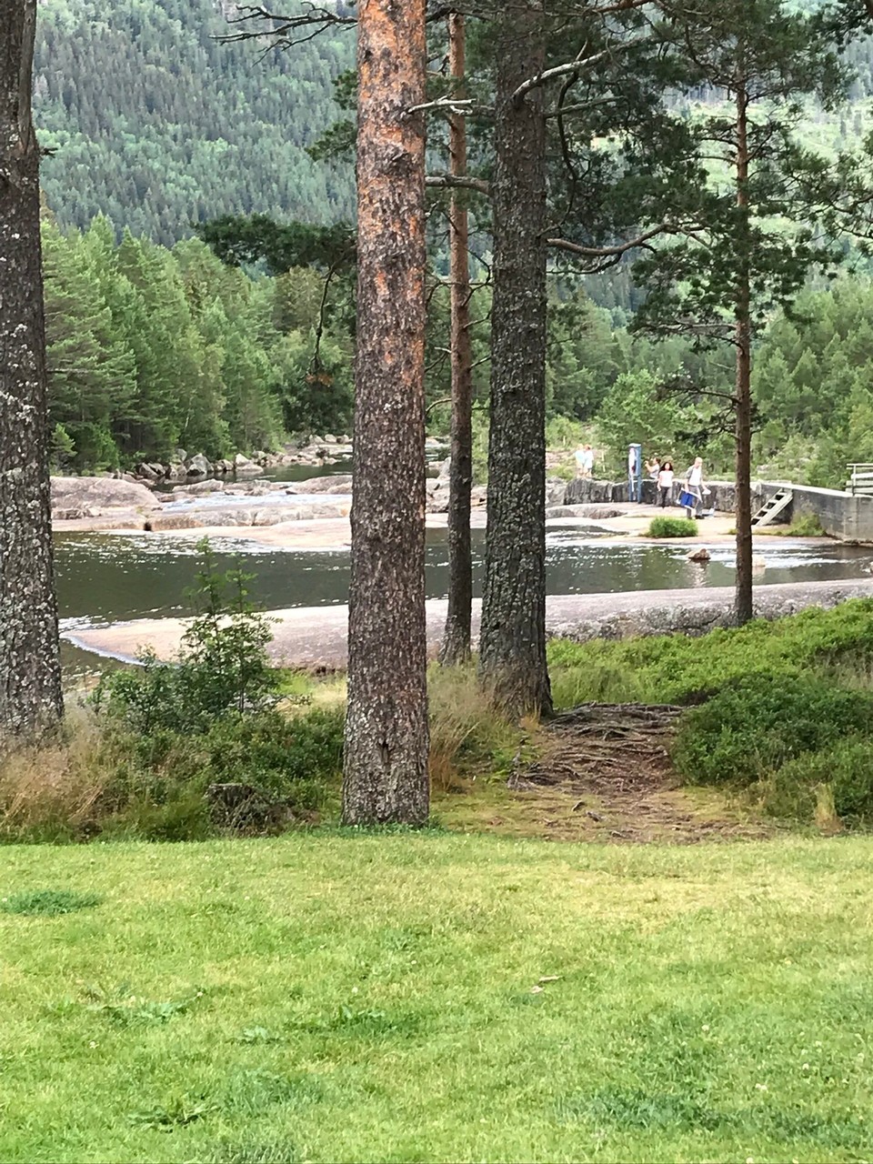 Norwegen - Bygland - Sehr schöner Picknickplatz