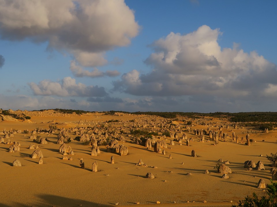 Australia - Perth - Désert des pinnacles : sable jaune