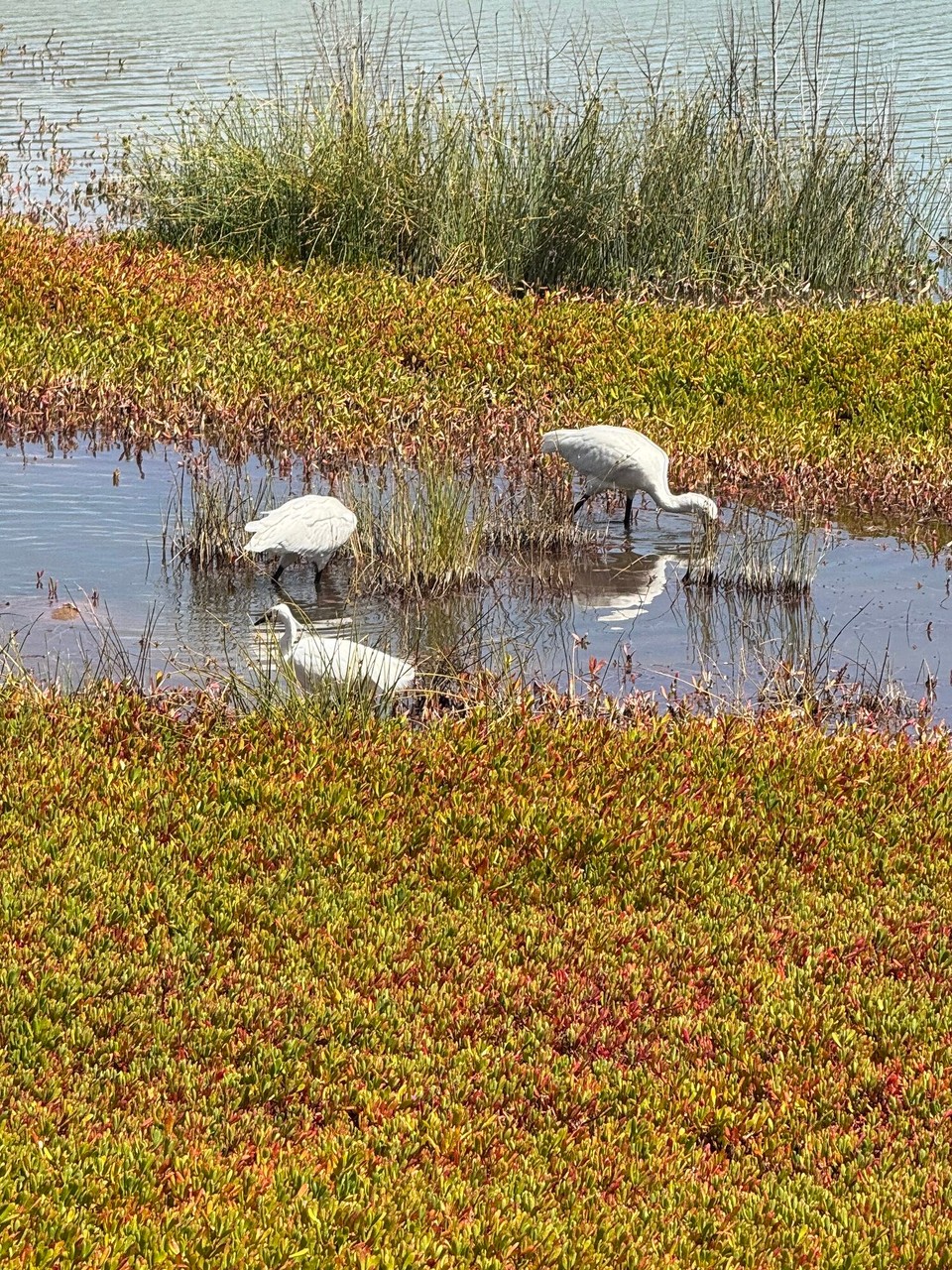 Spanien - Las Palmas de Gran Canaria - 