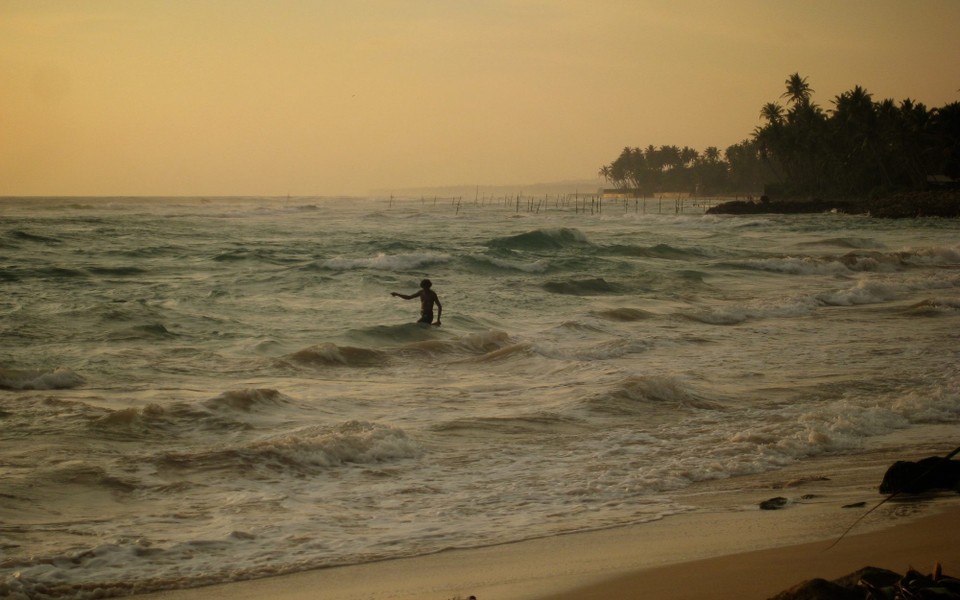 Sri Lanka - Weligama - Fischer 