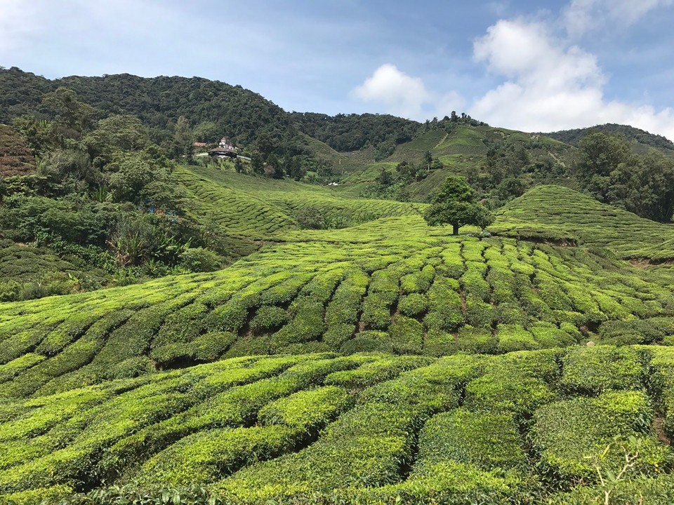 Malaysia - Bentong - Einfach der Hammer und unbeschreiblich schön