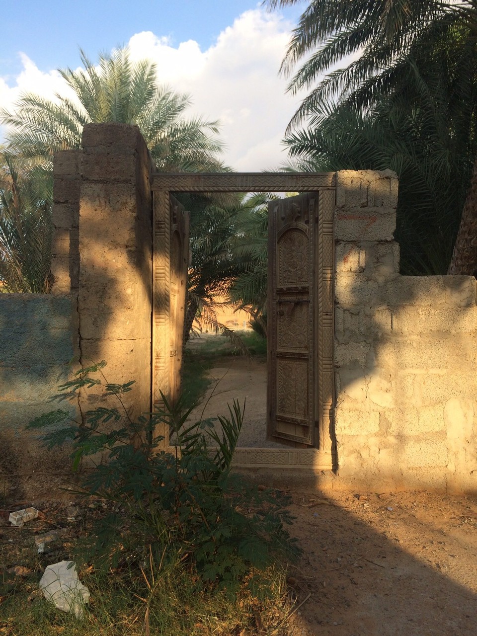 Oman -  - Aber ähnlich den alten Städten nagt der Zahn der Zeit auch an den Oasen. Viele Gärten liegen brach und die Wüste erobert sich Stück für Stück das fruchtbare Land. 