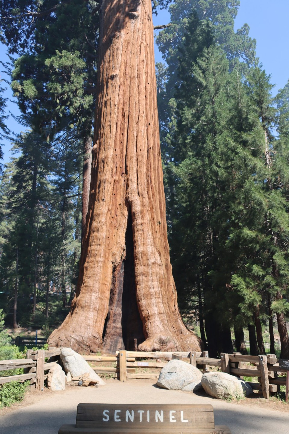 USA - Panamint Springs - Sequoia NP