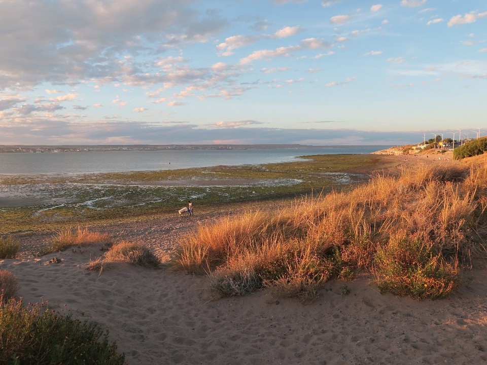 Argentina - Valdes Peninsula - Puerto Madryn