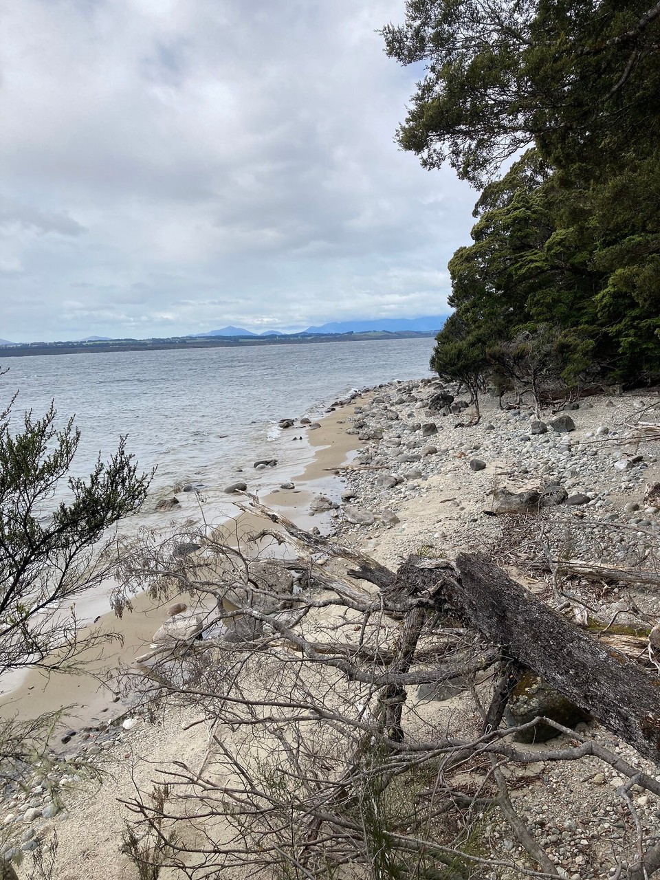 Neuseeland - Fiordland National Park - 