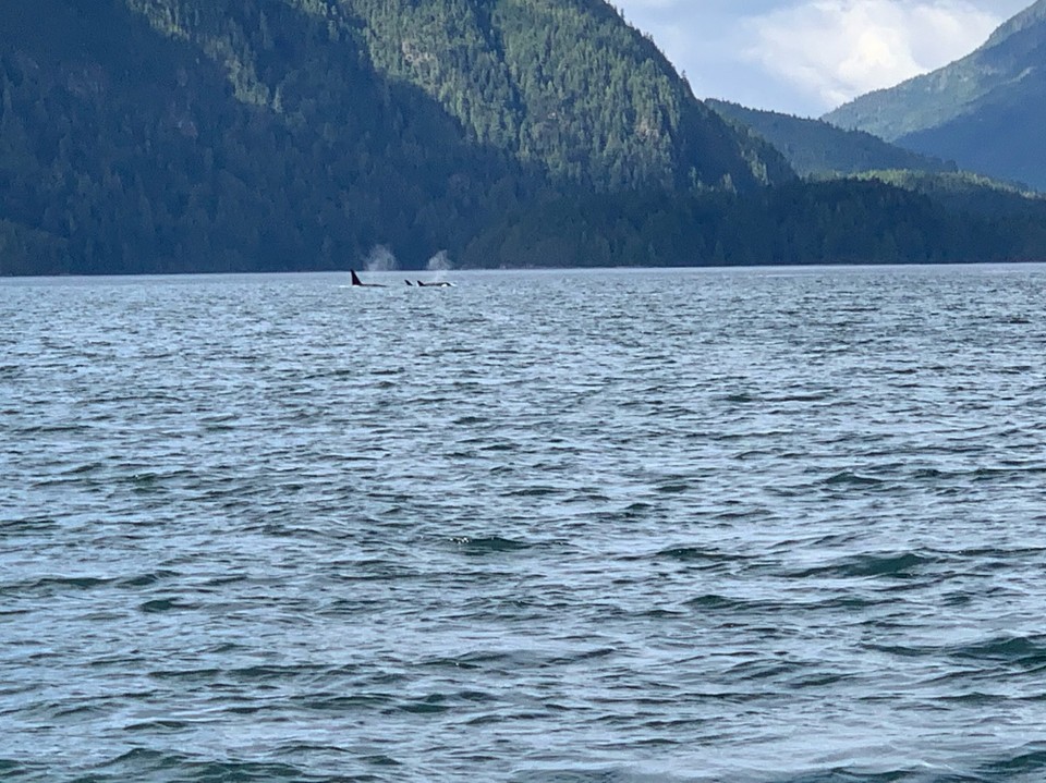 Kanada - Campbell River 11 - 