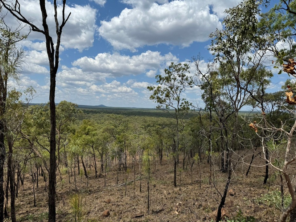 Australien - Mount Surprise - 