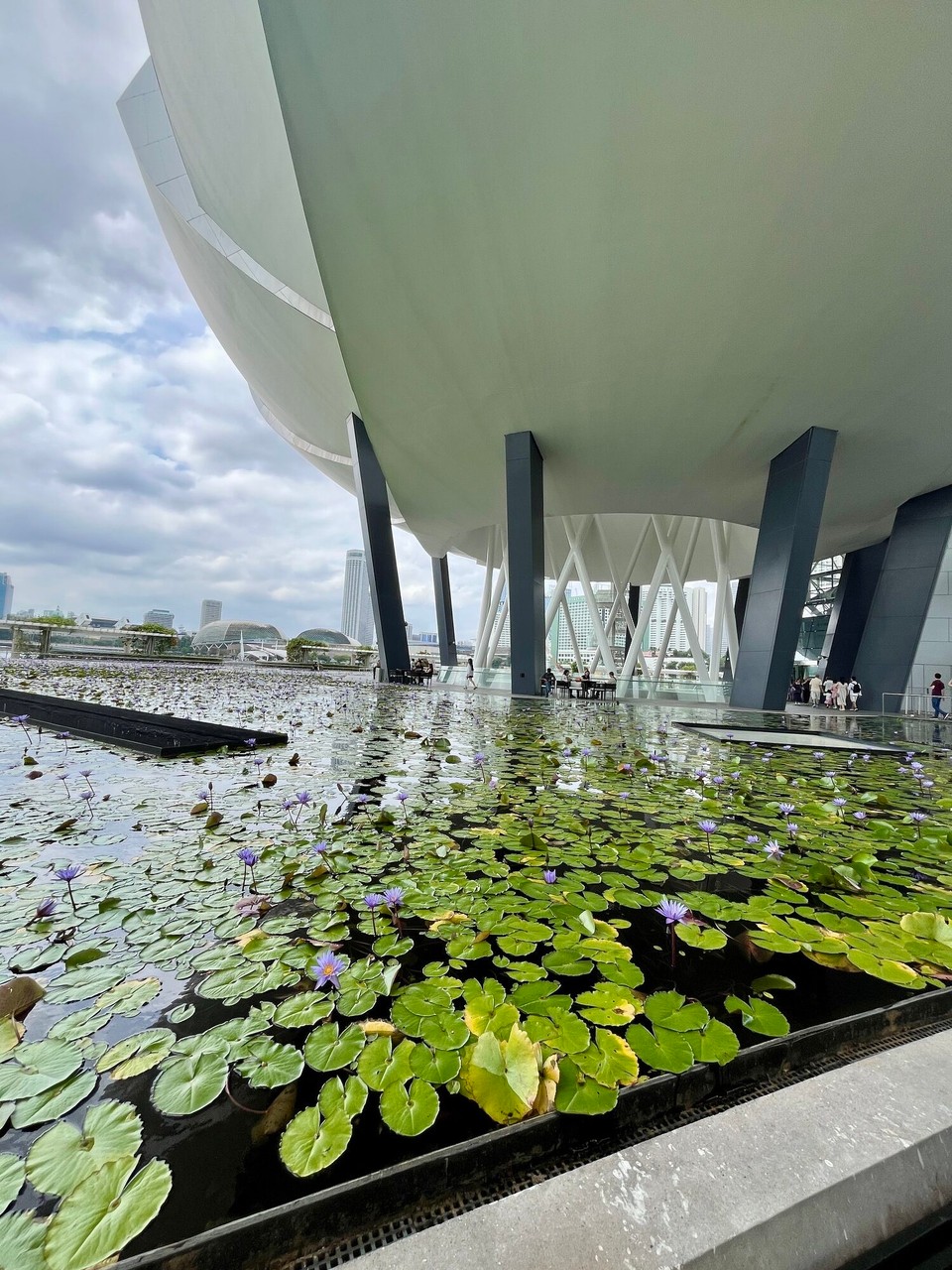 Singapur - Singapur - 