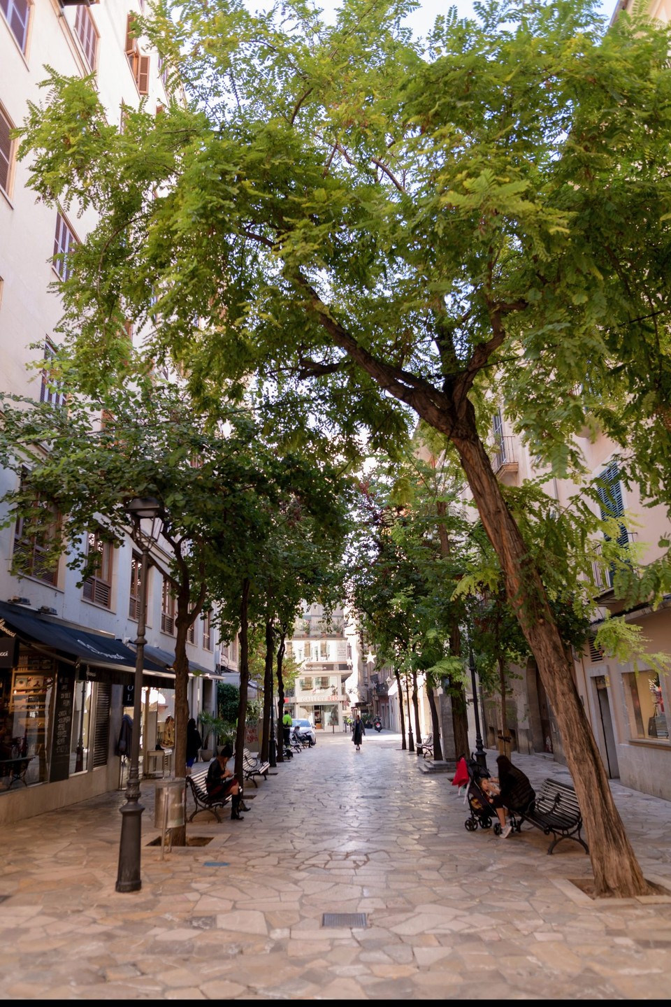 Spanien - Palma - 
