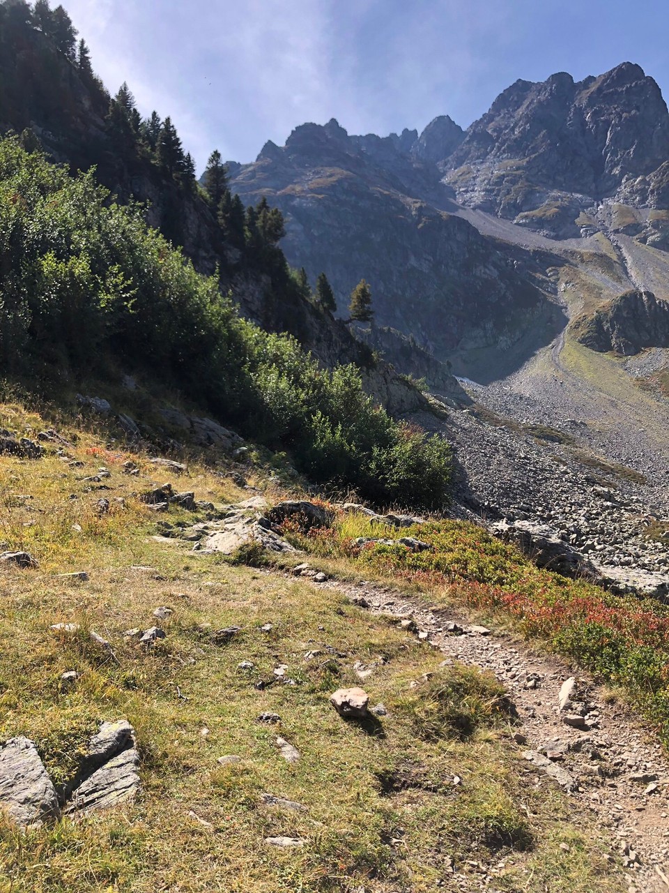 Frankreich - Allemond - Und die ganzen Höhenmeter und Kilometer wieder bergab. Durch die Steigung doch nicht viel schneller als der Hinweg. Ganz schön rutschig.