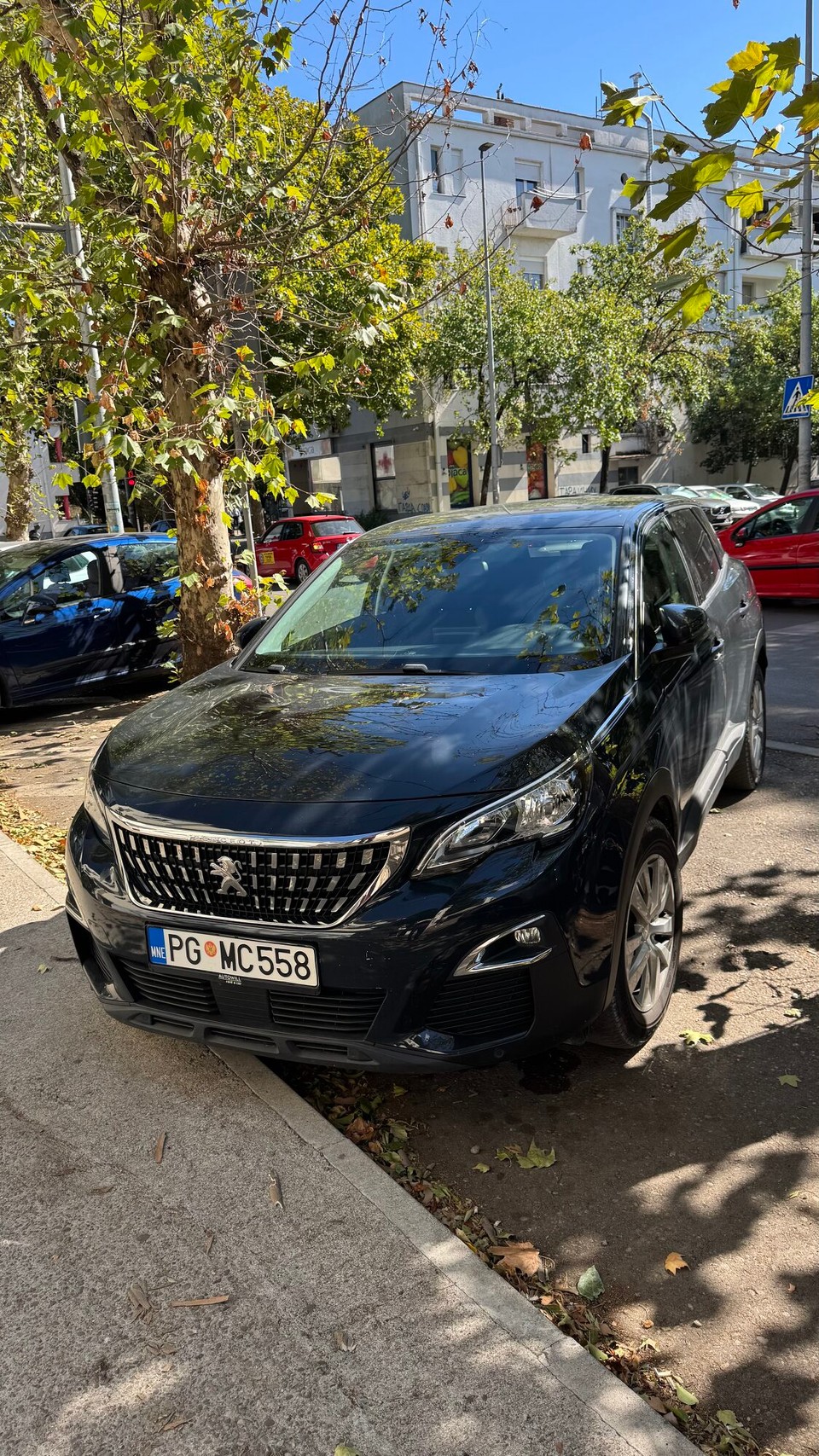 Montenegro - Podgorica - Unser Packesel für die nächsten Tage.