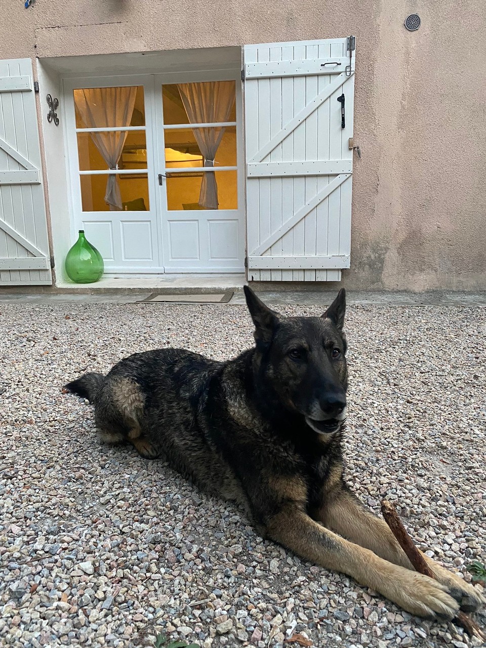 Frankreich - Tourrettes - In Stöcke vernarrt 
