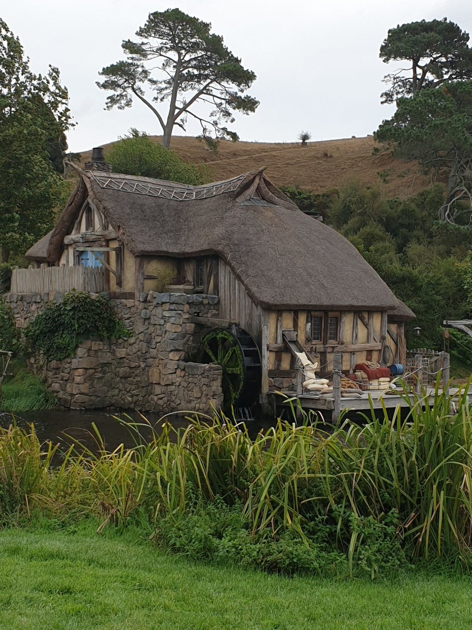 Neuseeland - Matamata - 