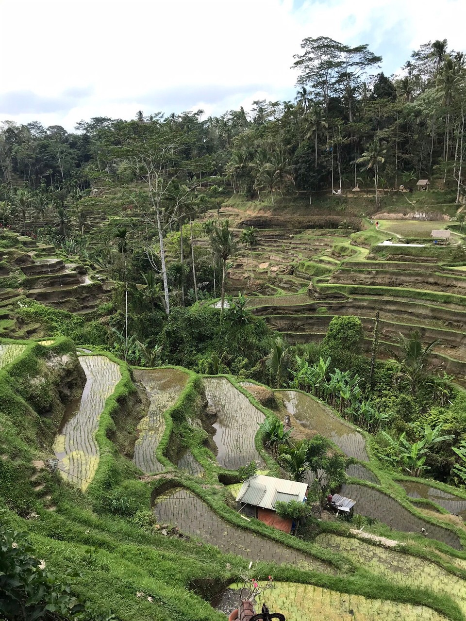 Indonesien - Gianyar - 