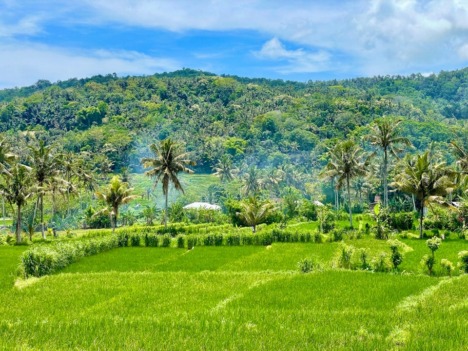 Indonesien - Denpasar - 