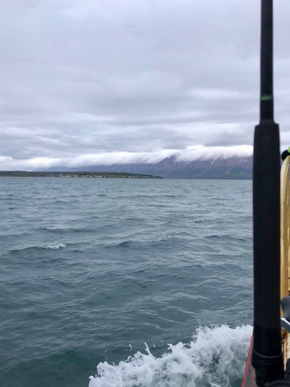  -  - Das sieht man die Insel Hrísey. Und dahinter die andere Seite des Fjordes.