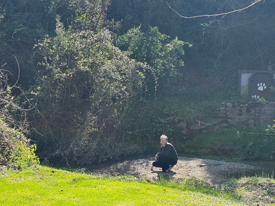 Spanien - Vilademuls - 