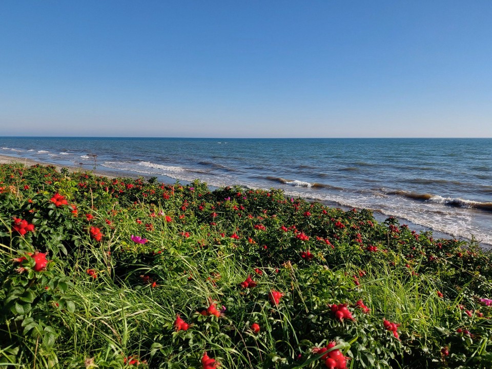 Deutschland - Brodersby-Goltoft - Ein letzter Blick auf die Ostsee 