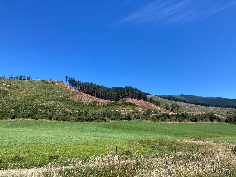 Neuseeland - Havelock - 