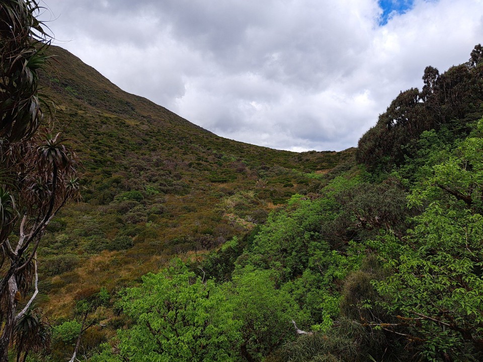 Neuseeland - West Coast - 
