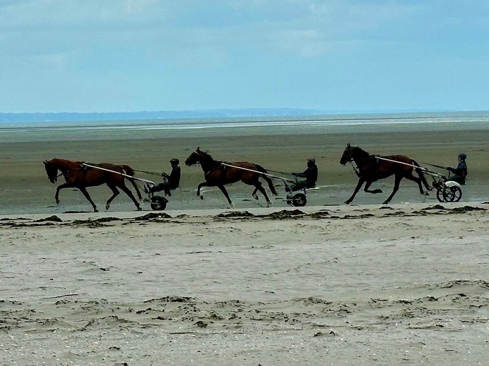 Frankreich - Lamballe-Armor - 