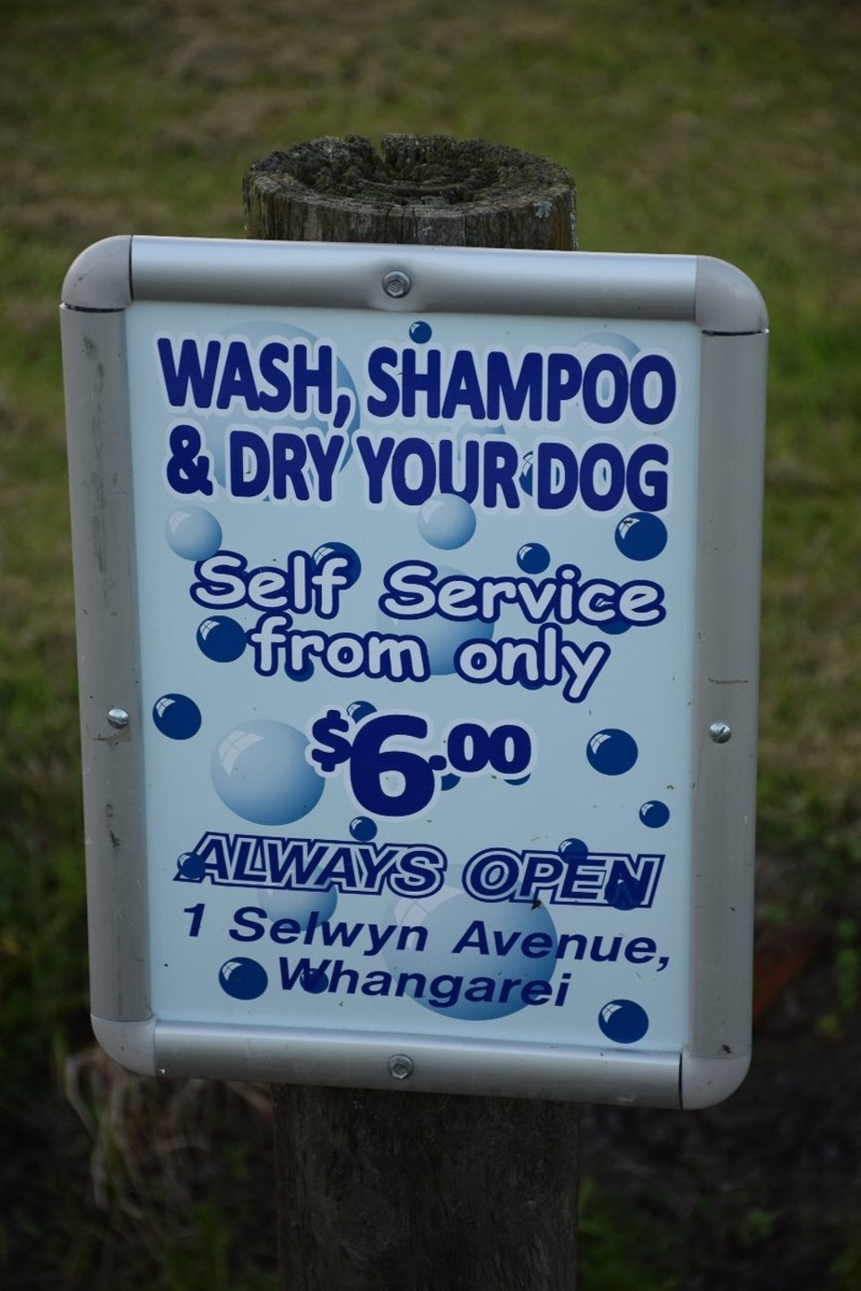 Neuseeland - Whangarei - :-D