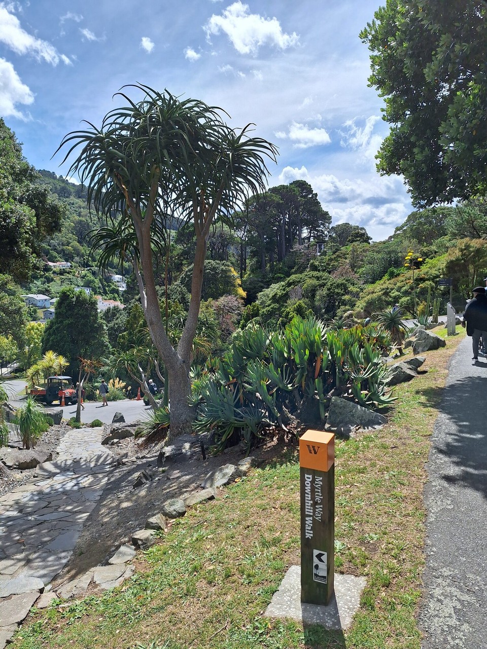 Neuseeland - Wellington - 