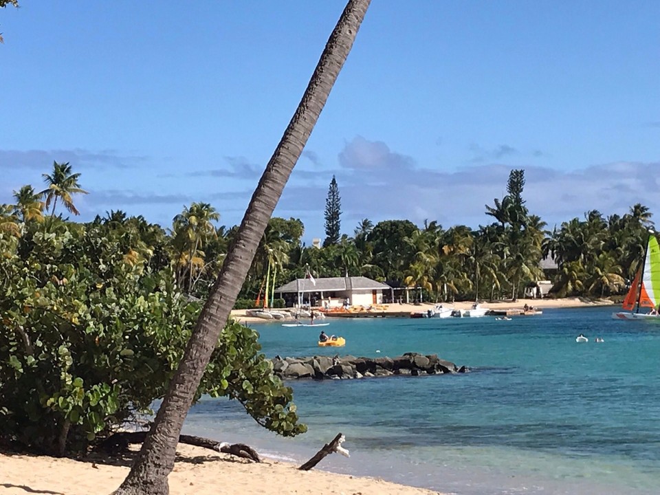 Antigua and Barbuda - Antigua and Barbuda - 