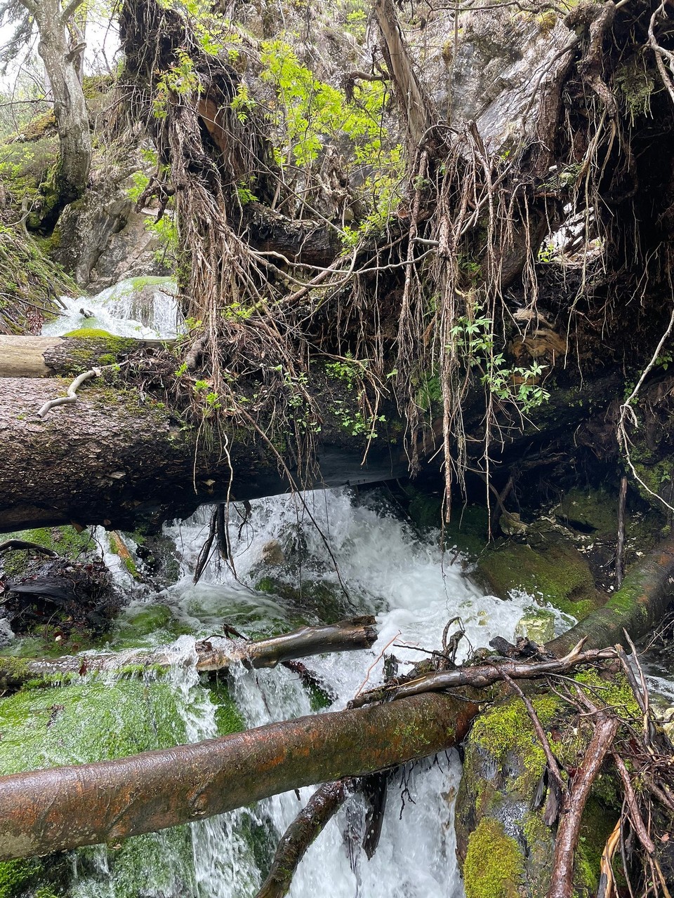 Slowenien - Rateče Planica - …und jede Menge Wasser 