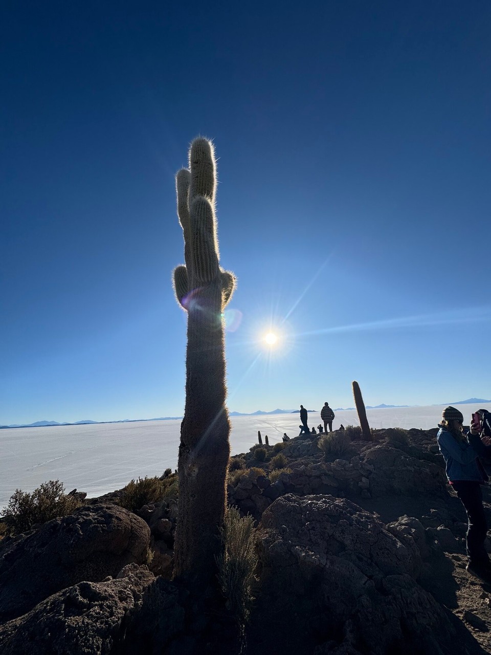 Bolivien -  - Die Kakteen wachsen 2 mm pro Jahr🤔 